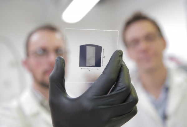 Carbon nanotube transistors