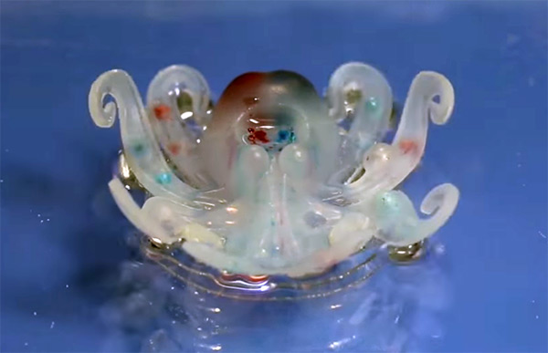 Octobot