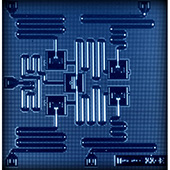 IBM brings the quantum computer to the public cloud