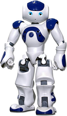 Social robot L2TOR