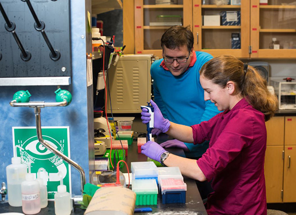 Synthetic DNA in a lab