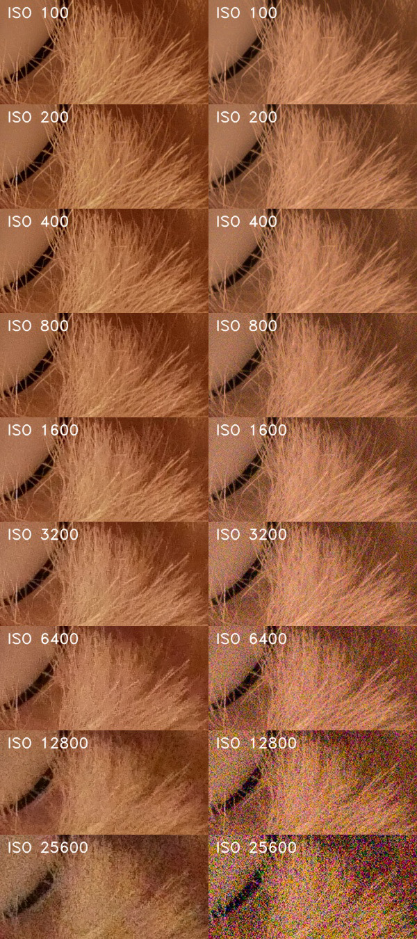 Panasonic Lumix G80 G85 ISO noise JPEG and RAW